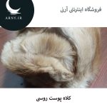 کلاه پوست روسی   HG15 - Image 4