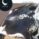 پوست گاو مشکی کد 1202 - Image 4