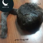 کلاه پوست روسی دمدار   HM3 - Image 4