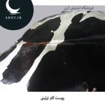 پوست گاو سفید مشکی