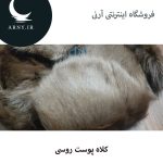 کلاه پوست روسی   HG18 - Image 5