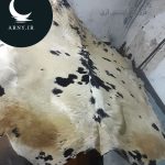 پوست گاو بزرگ سفید خال مشکی کد 102 - Image 5