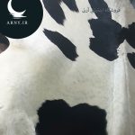 پوست گاو مشکی سفید