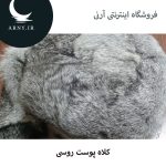 کلاه پوست روسی دمدار   HM7 - Image 5