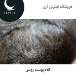 کلاه پوست روسی دمدار   HM3 - Image 5