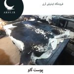 پوست گاو مشکی کد 1202 - Image 5