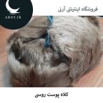 کلاه پوست روسی   HG19 - Image 5