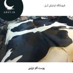 پوست گاو کد 1207 - Image 5