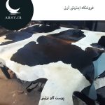 پوست گاو کد 1207 - Image 6