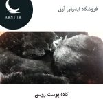 کلاه پوست روسی   HG21 - Image 2