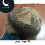 کلاه پوست روسی   HS2 - Image 6