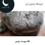 کلاه پوست روسی دمدار   HM7 - Image 6