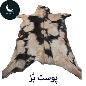 پوست بز