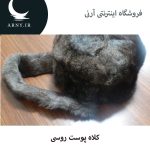 کلاه پوست روسی دمدار   HM3 - Image 6