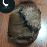 کلاه پوست روسی