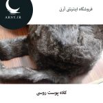 کلاه پوست روسی دُمدار  HM1 - Image 6