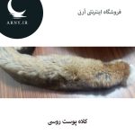 کلاه پوست روسی دُمدار  HM5 - Image 6