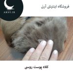 کلاه پوست روسی   HG18 - Image 6