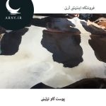 پوست گاو