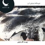 پوست گاو جذاب کد 1210 - Image 7
