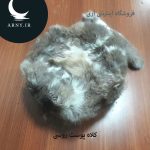 کلاه پوست روسی دُمدار  HM1 - Image 7