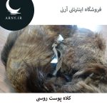 کلاه پوست روسی   HG16