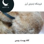 کلاه پوست روسی   HG8 - Image 7