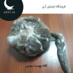 کلاه پوست دُم دار