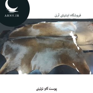 پوست گاو