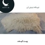 پوست گوسفند کد8 - Image 2