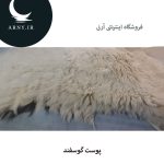 پوست گوسفند کد6 - Image 3