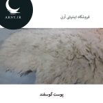 پوست گوسفند کد4 - Image 4