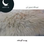 پوست گوسفند کد5 - Image 4