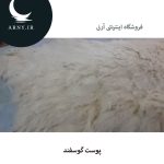 پوست گوسفند کد6 - Image 4