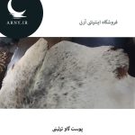 پوست گاو سفید کمی مشکی کد k1 - Image 4