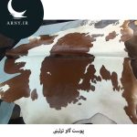 پوست گاو قهواه ای سفید کد K3 - Image 4