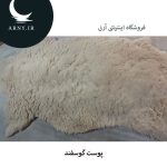 پوست گوسفند کد1 - Image 4