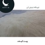 پوست گوسفند کد3 - Image 4