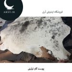 پوست گاو سفید کمی مشکی کد k1 - Image 5