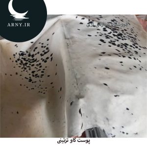 پوست گاو