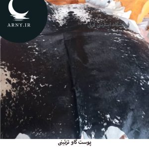 پوست گاو