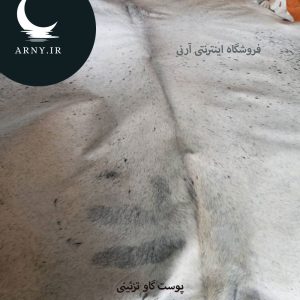 پوست گاو