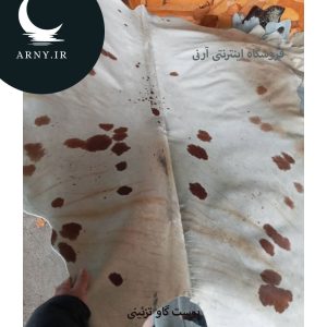 پوست گاو