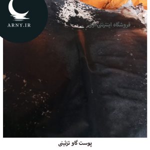 پوست گاو