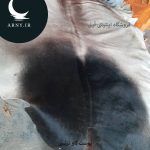 پوست گاو