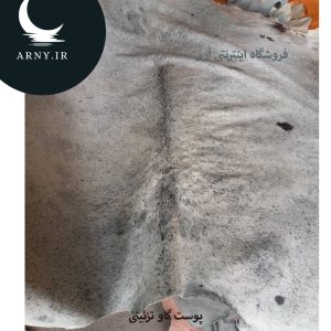 پوست گاو