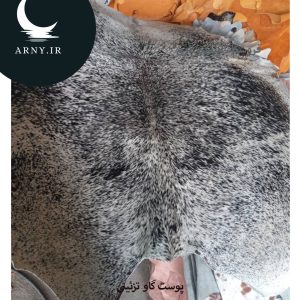 پوست گاو