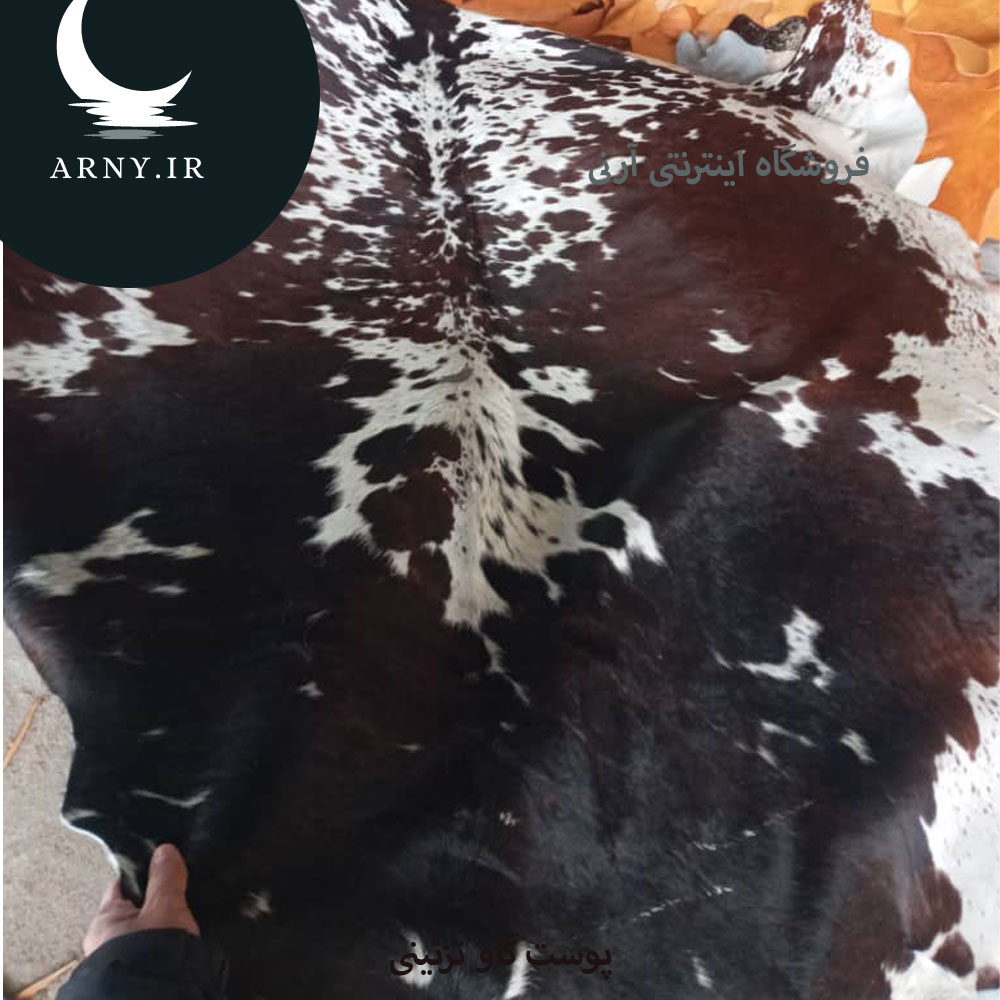 پوست گاو پوست گاو