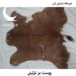 پوست بز طرح روح - Image 2