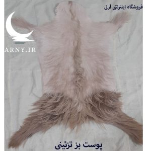پوست بز